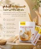 پودر جوانه گندم بین استار